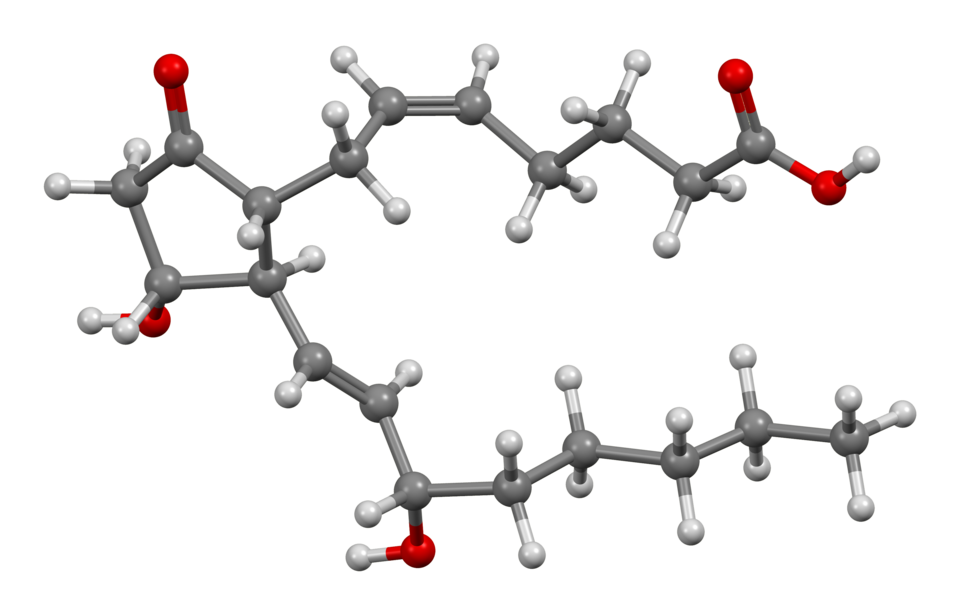Prostaglandin E2